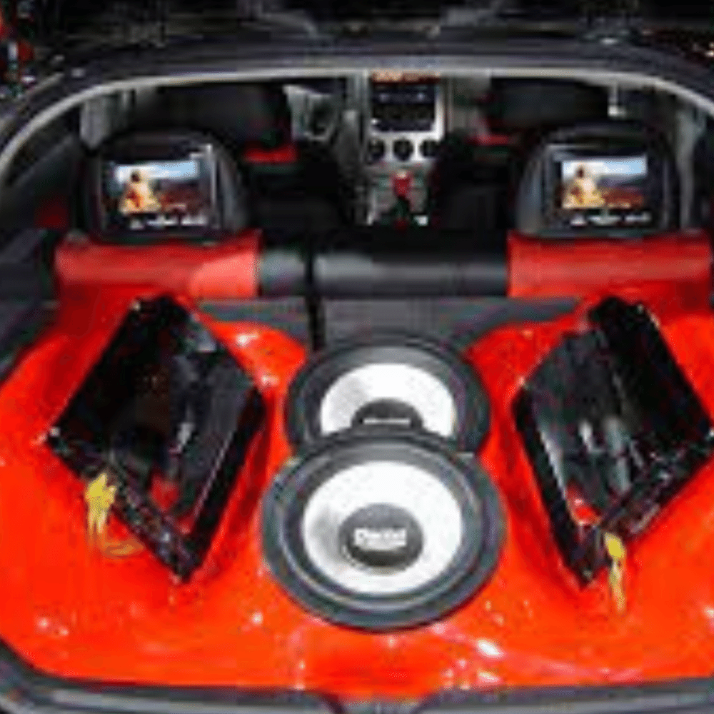 DS18 12 inch subwoofer